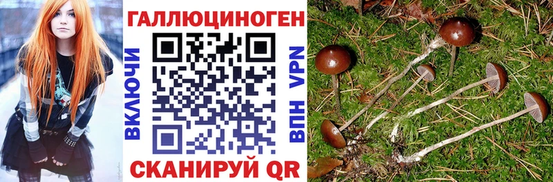 Галлюциногенные грибы прущие грибы OMG зеркало Гороховец